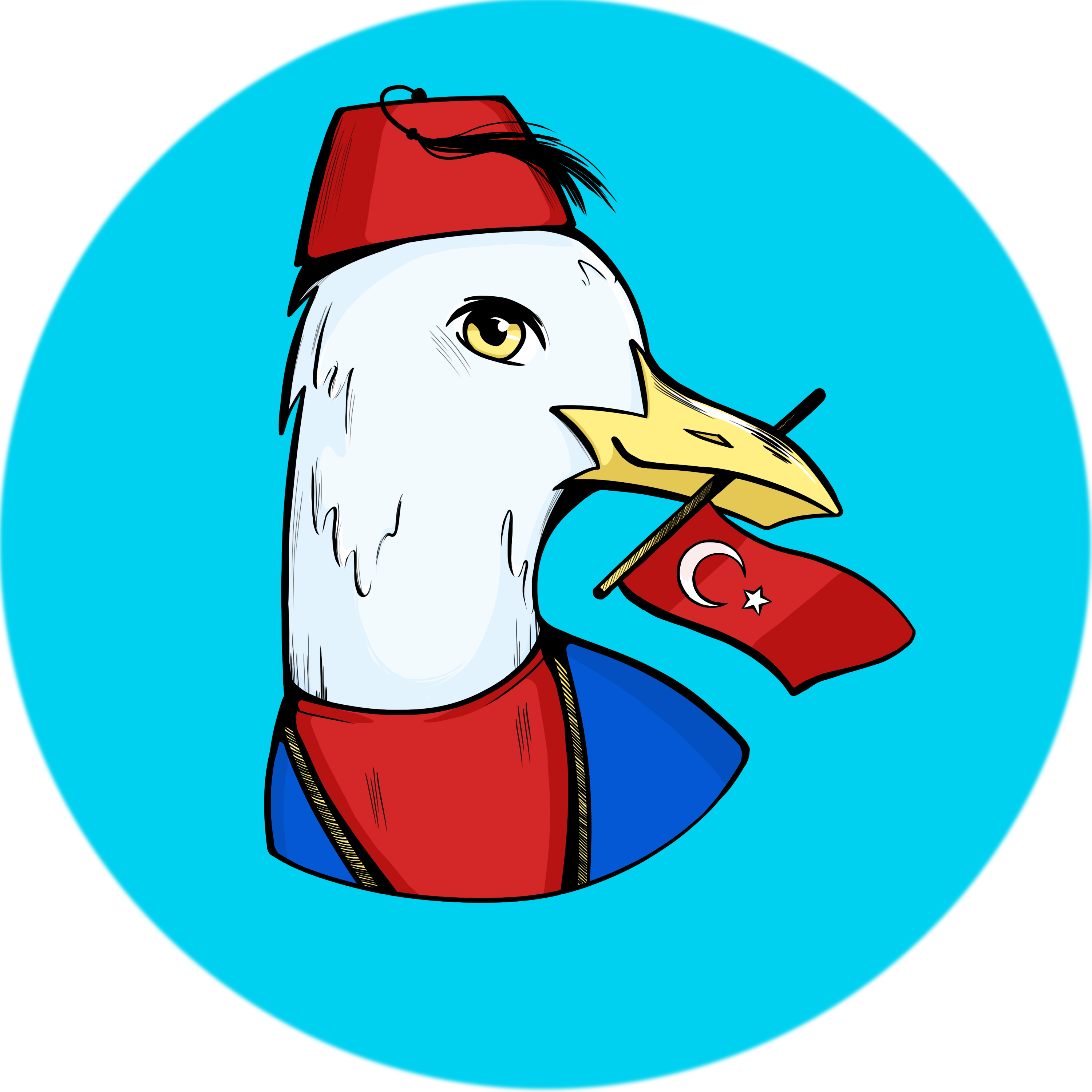 LinguaTurca логотип